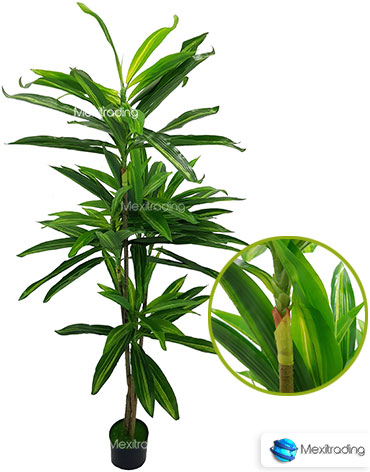 Planta artificial Dracena, Plantas artificiales baratas