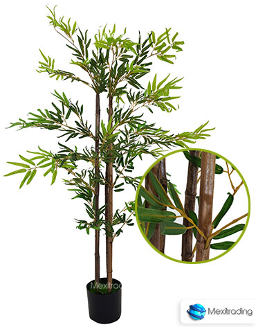 Plantas Bambu CAFE 4 TALLOS-J07