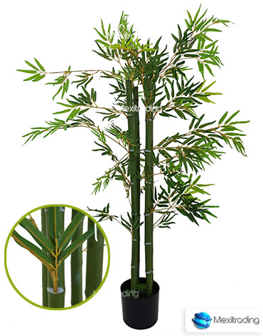 Plantas Bambu Verde 4 Tallos