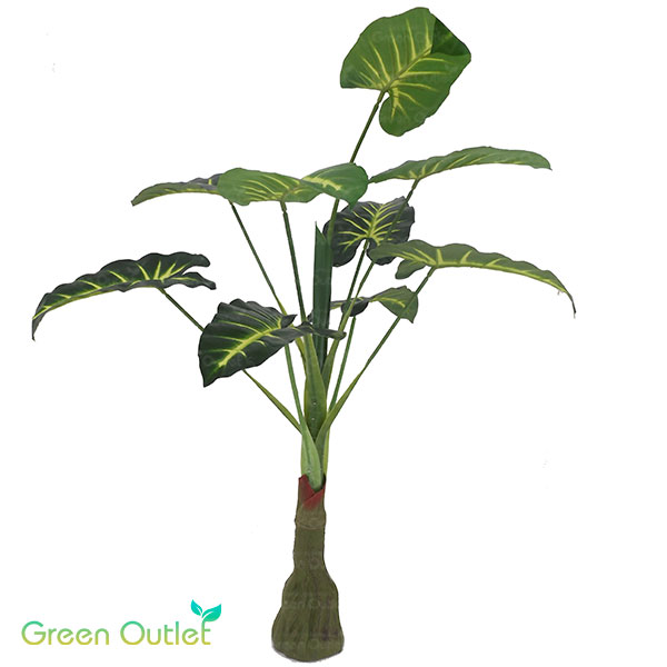 Plantas Sinteticas  Taro Largo