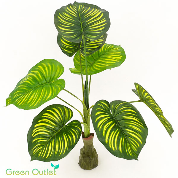 Plantas Sinteticas Taro Ovalo